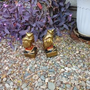 Bronze bookends